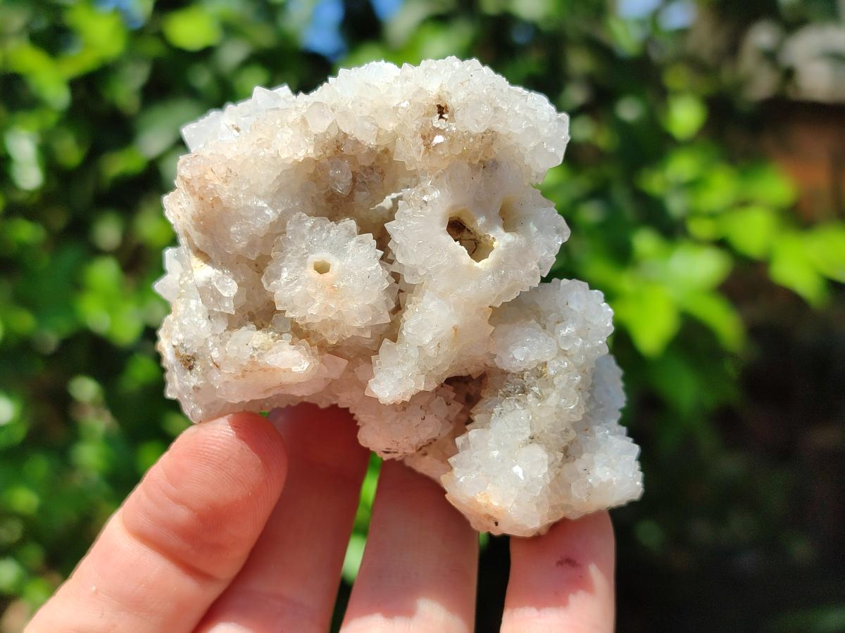 Natural Drusy Quartz Coated Calcite Pseudomorph Snow Finger Crystals x 12 From Albert's Mountain, Lesotho