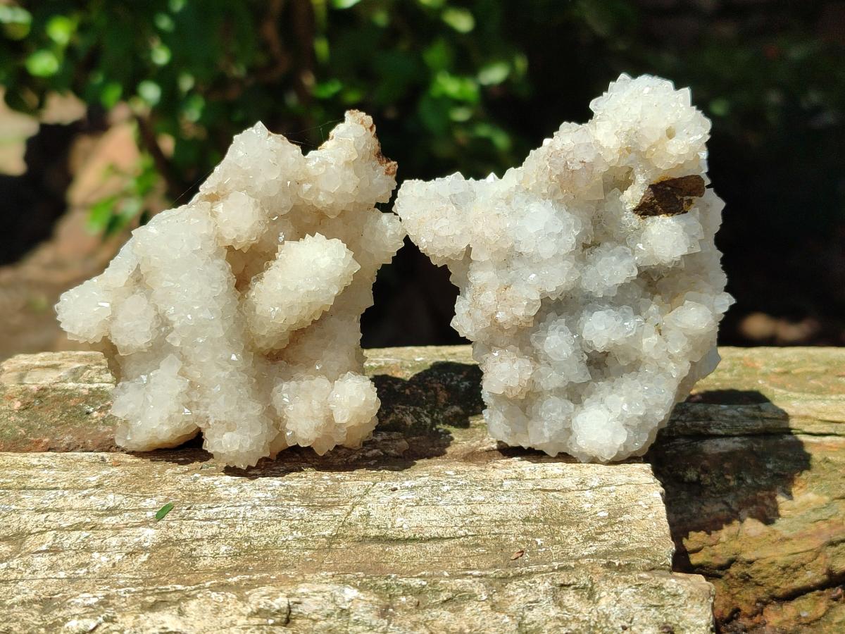 Natural Drusy Quartz Coated Calcite Pseudomorph Snow Finger Crystals x 12 From Albert's Mountain, Lesotho