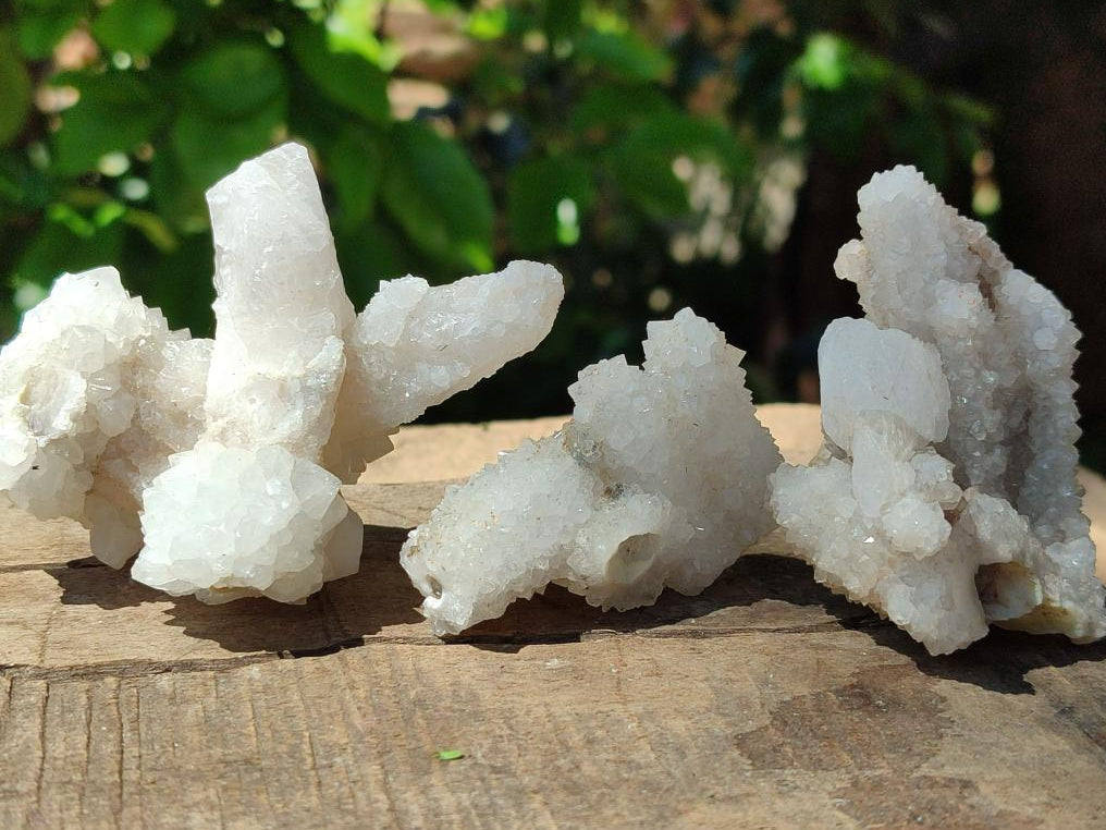 Natural Drusy Quartz Coated Calcite Pseudomorph Snow Finger Crystals x 12 From Albert's Mountain, Lesotho