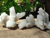 Natural Drusy Quartz Coated Calcite Pseudomorph Snow Finger Crystals x 12 From Albert's Mountain, Lesotho