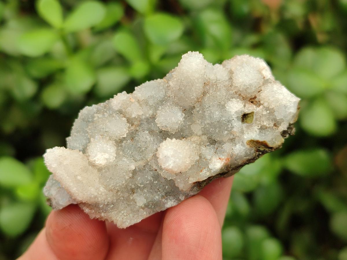 Natural Drusy Quartz Coated Calcite Pseudomorph Snow Finger Crystals x 12 From Albert's Mountain, Lesotho