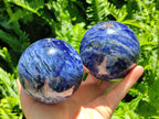 Polished Sodalite Spheres x 2 From Kunene River, Namibia
