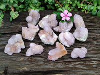 Natural Amethyst and Ametrine Spirit Clusters x12  From Boekenhouthoek, South Africa