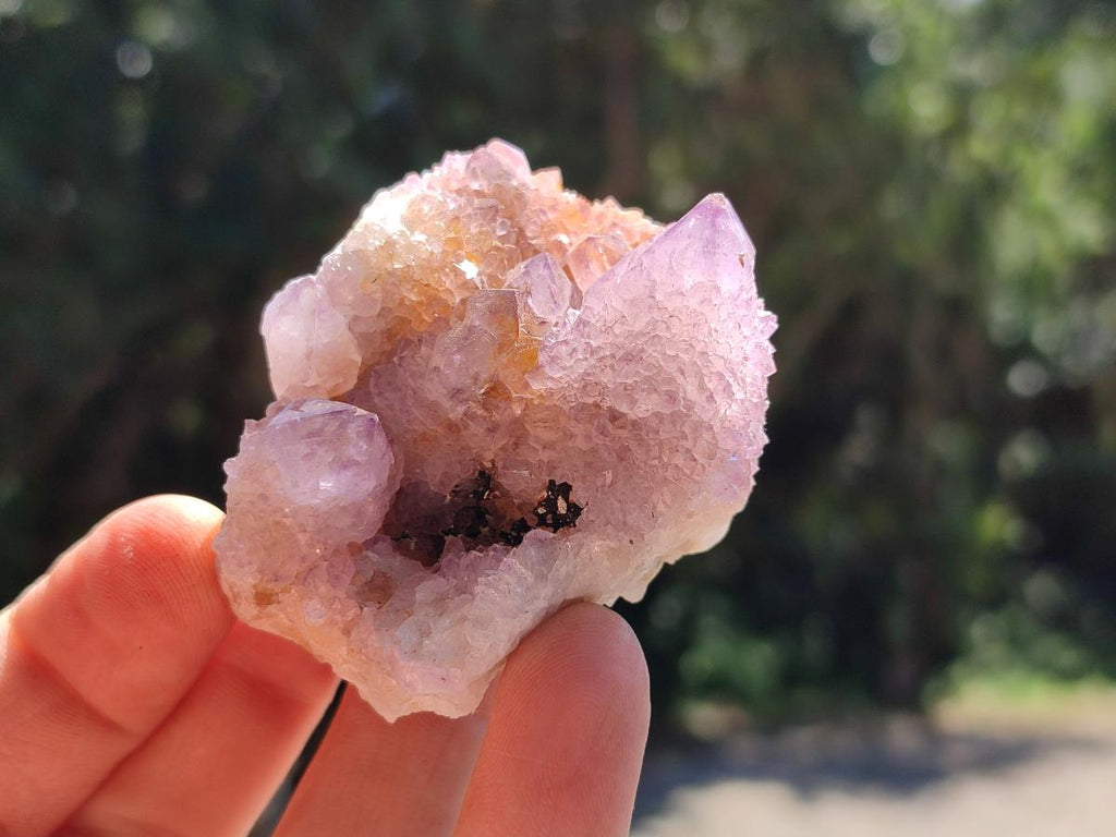 Natural Amethyst and Ametrine Spirit Clusters x12  From Boekenhouthoek, South Africa
