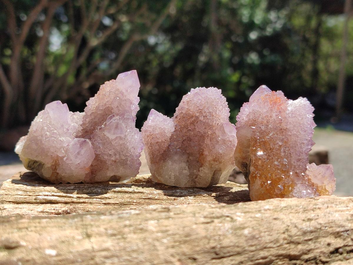 Natural Amethyst and Ametrine Spirit Clusters x12  From Boekenhouthoek, South Africa