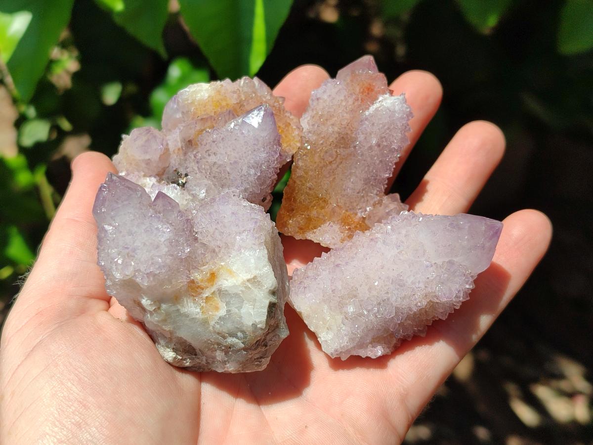 Natural Amethyst and Ametrine Spirit Clusters x12  From Boekenhouthoek, South Africa