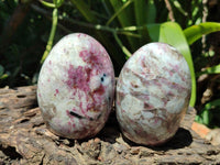 Polished Rubellite Pink Tourmaline Standing Free Forms x 6 From Ambatondrazaka, Madagascar