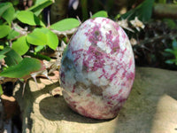 Polished Rubellite Pink Tourmaline Standing Free Forms x 6 From Ambatondrazaka, Madagascar