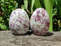 Polished Rubellite Pink Tourmaline Standing Free Forms x 6 From Ambatondrazaka, Madagascar