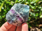 Natural Watermelon Fluorite Cobbed Specimens x 24 From Uis, Namibia