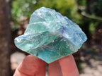Natural Watermelon Fluorite Cobbed Specimens x 24 From Uis, Namibia