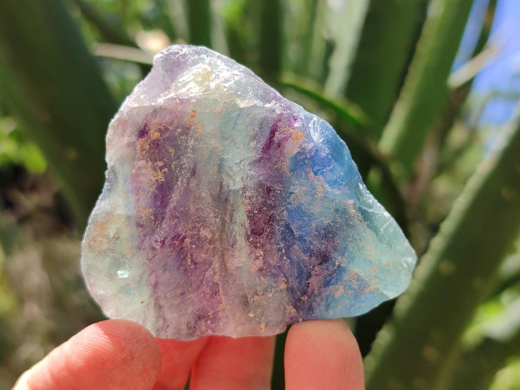 Natural Watermelon Fluorite Cobbed Specimens x 24 From Uis, Namibia