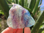 Natural Watermelon Fluorite Cobbed Specimens x 24 From Uis, Namibia