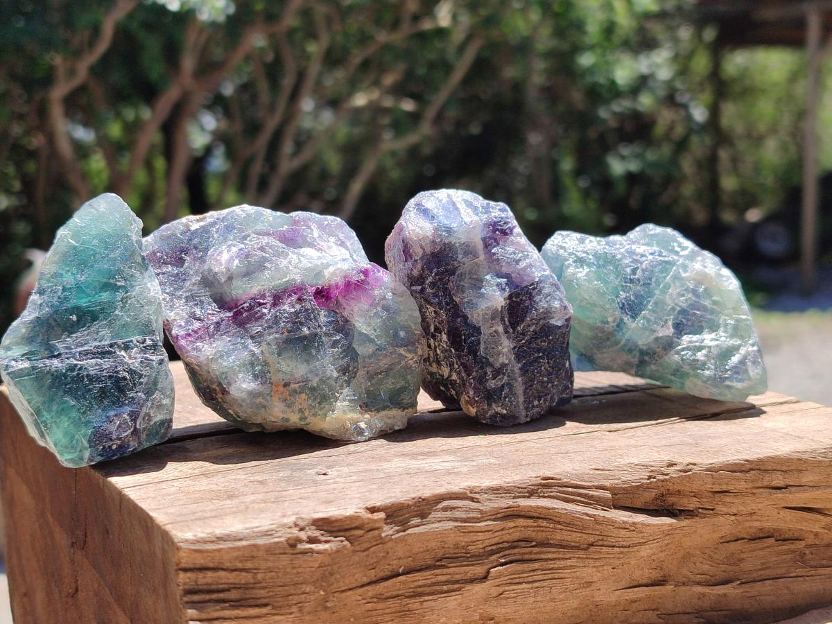 Natural Watermelon Fluorite Cobbed Specimens x 24 From Uis, Namibia