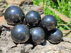 Polished Black Basalt Spheres x 12 From Madagascar