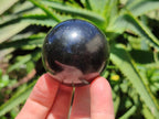 Polished Black Basalt Spheres x 12 From Madagascar