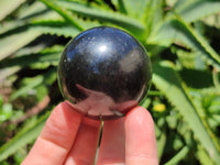 Polished Black Basalt Spheres x 12 From Madagascar