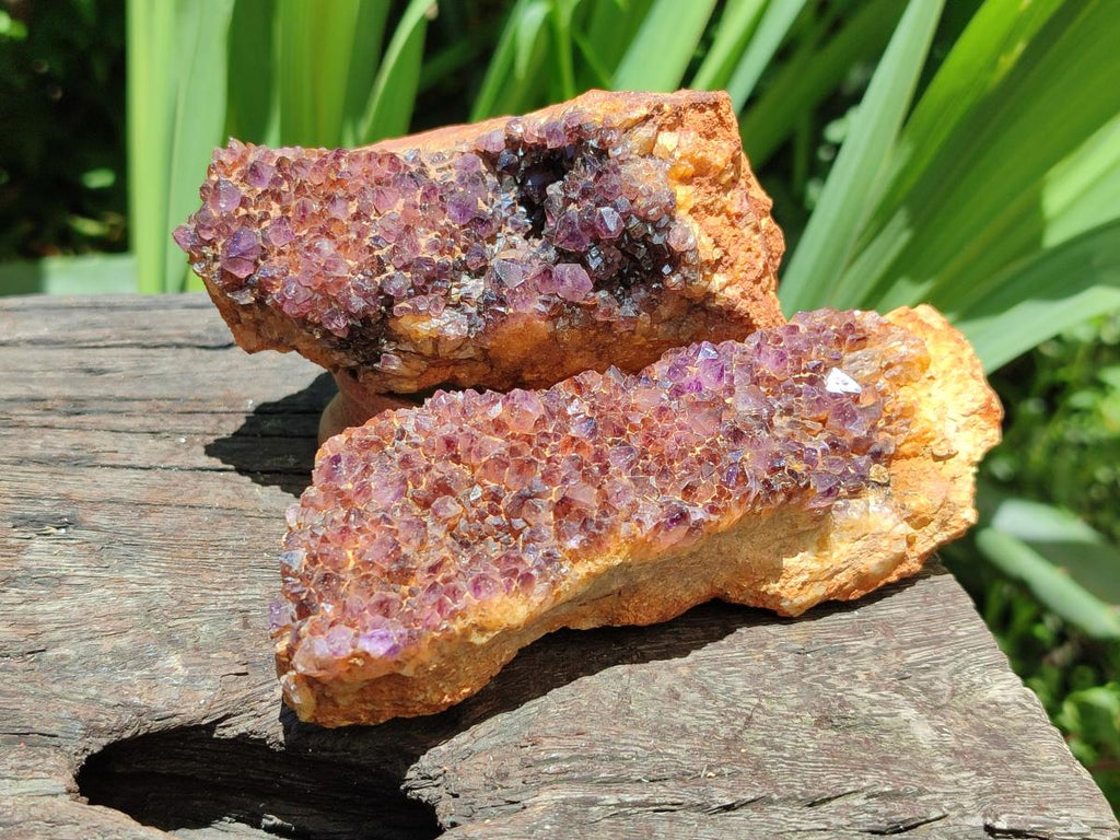 Natural Amethystos Amethyst Clusters x 6 From Kwaggafontein, South Africa