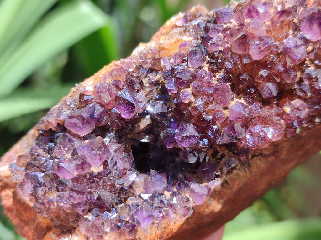 Natural Amethystos Amethyst Clusters x 6 From Kwaggafontein, South Africa