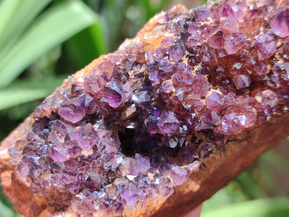 Natural Amethystos Amethyst Clusters x 6 From Kwaggafontein, South Africa