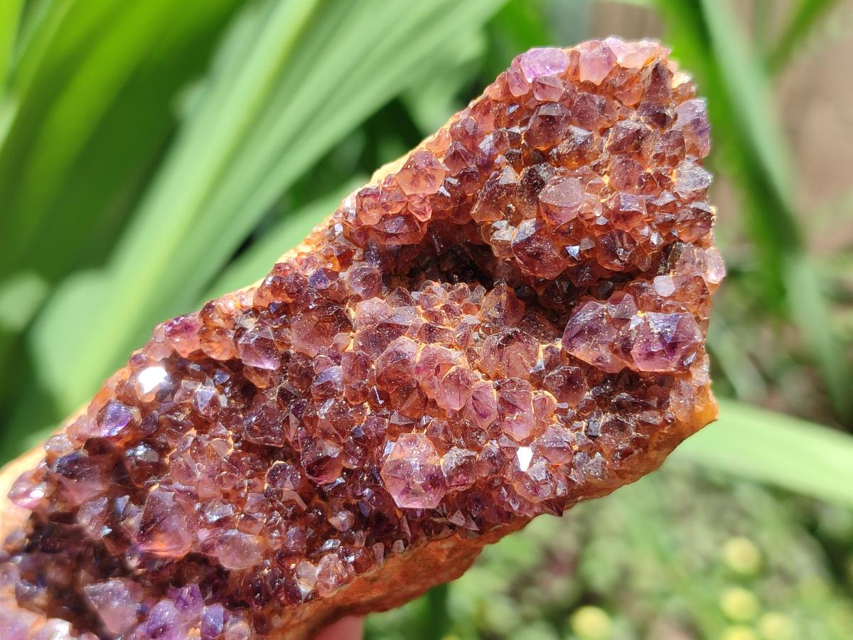Natural Amethystos Amethyst Clusters x 6 From Kwaggafontein, South Africa