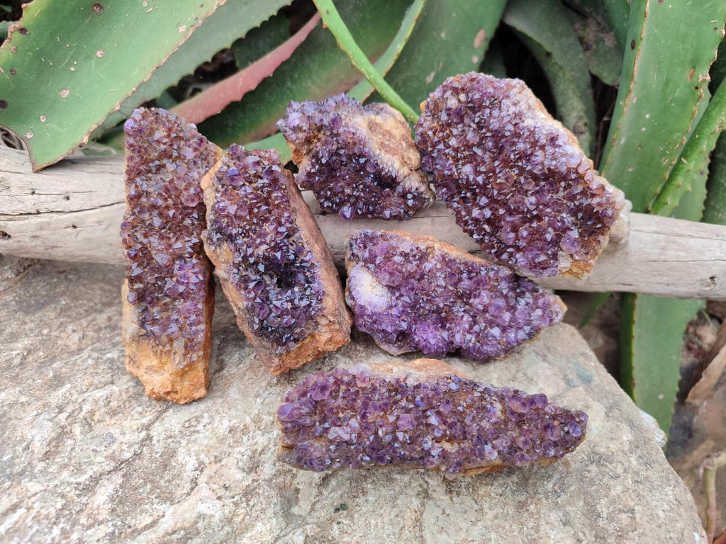 Natural Amethystos Amethyst Clusters x 6 From Kwaggafontein, South Africa