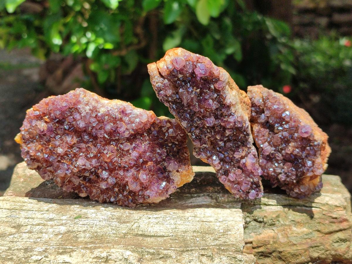 Natural Amethystos Amethyst Clusters x 6 From Kwaggafontein, South Africa