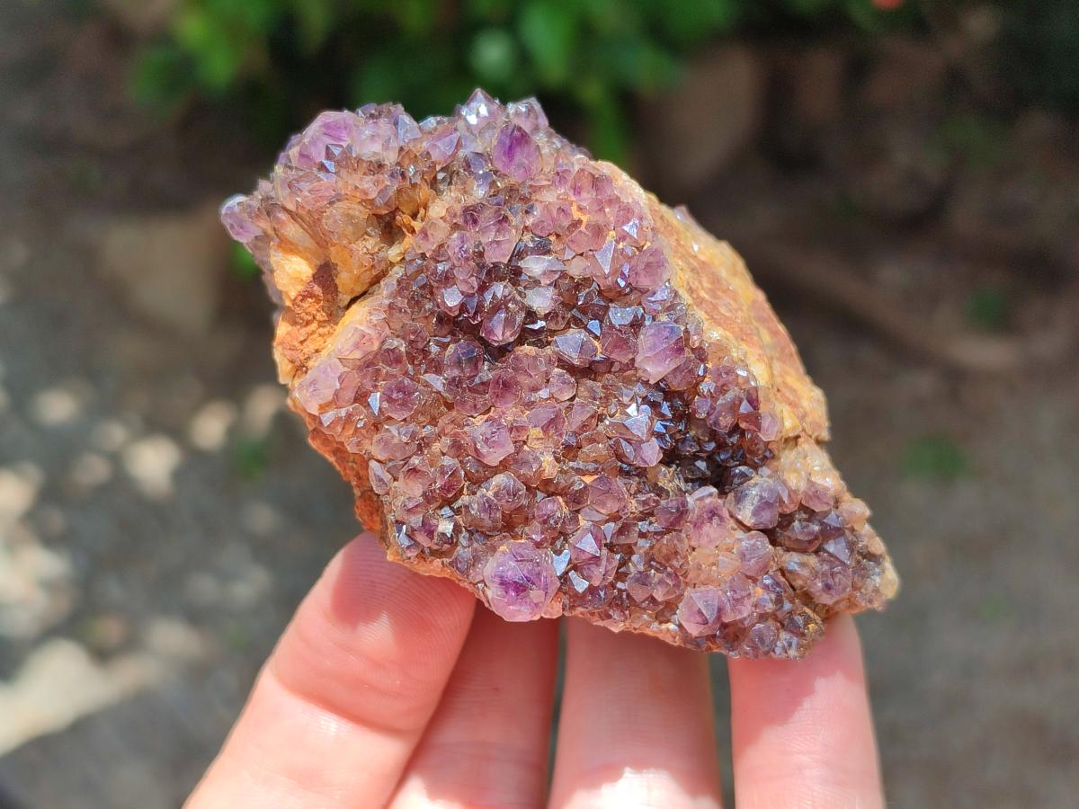 Natural Amethystos Amethyst Clusters x 6 From Kwaggafontein, South Africa