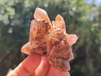 Natural Red Hematoid Quartz Crystals and Clusters x 12 From Karoi, Zimbabwe