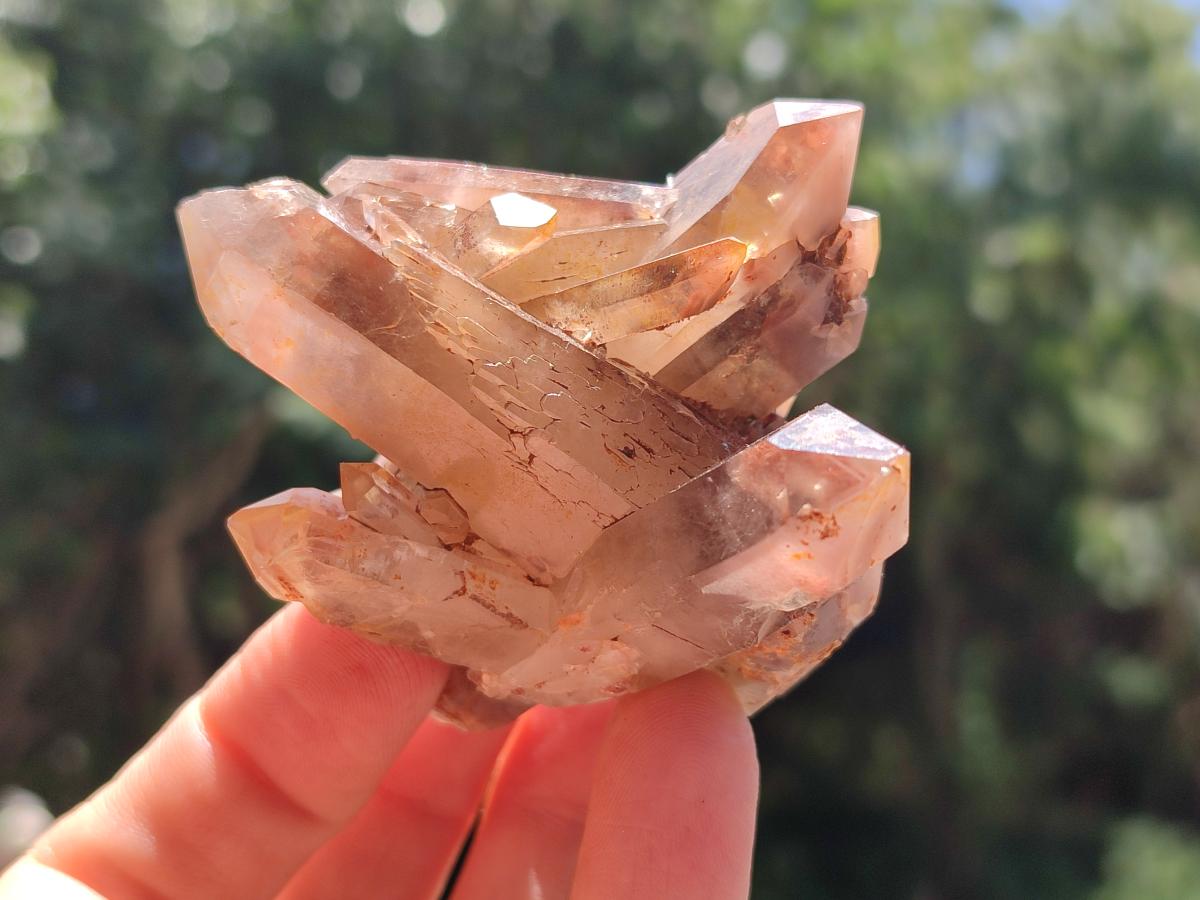 Natural Red Hematoid Quartz Crystals and Clusters x 12 From Karoi, Zimbabwe