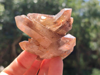 Natural Red Hematoid Quartz Crystals and Clusters x 12 From Karoi, Zimbabwe