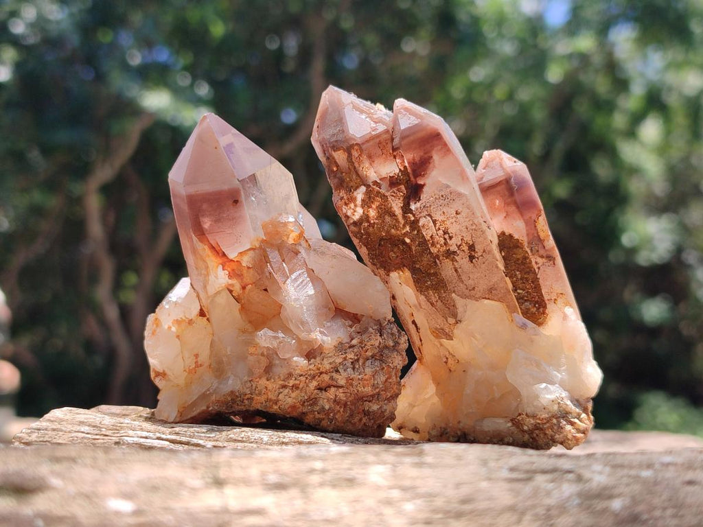 Natural Red Hematoid Quartz Crystals and Clusters x 12 From Karoi, Zimbabwe