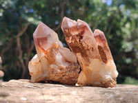 Natural Red Hematoid Quartz Crystals and Clusters x 12 From Karoi, Zimbabwe