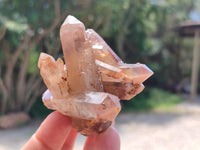 Natural Red Hematoid Quartz Crystals and Clusters x 12 From Karoi, Zimbabwe