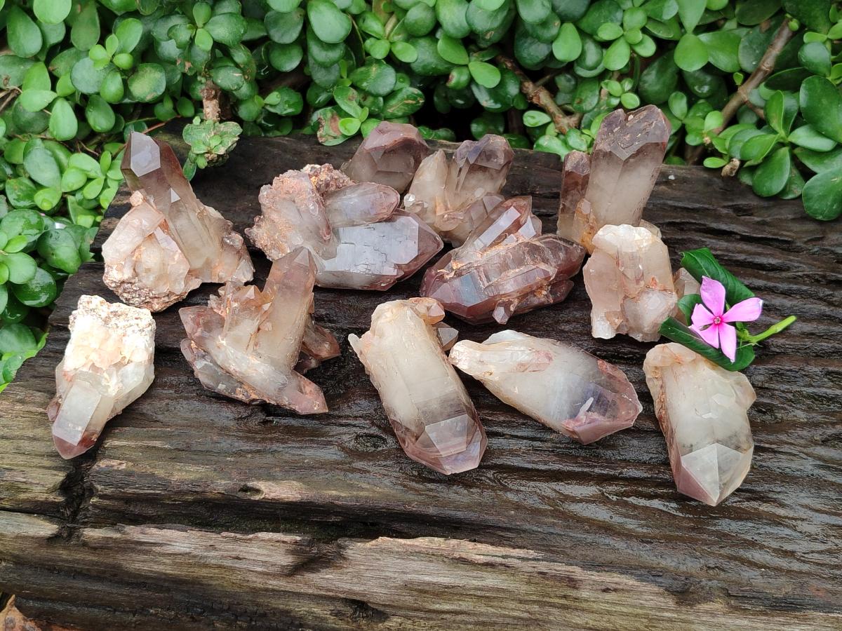 Natural Red Hematoid Quartz Crystals and Clusters x 12 From Karoi, Zimbabwe