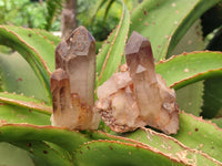 Natural Red Hematoid Quartz Crystals and Clusters x 12 From Karoi, Zimbabwe