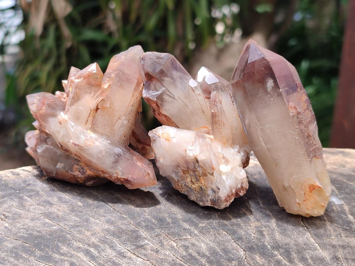 Natural Red Hematoid Quartz Crystals and Clusters x 12 From Karoi, Zimbabwe