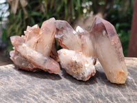 Natural Red Hematoid Quartz Crystals and Clusters x 12 From Karoi, Zimbabwe