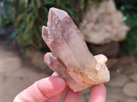 Natural Red Hematoid Quartz Crystals and Clusters x 12 From Karoi, Zimbabwe