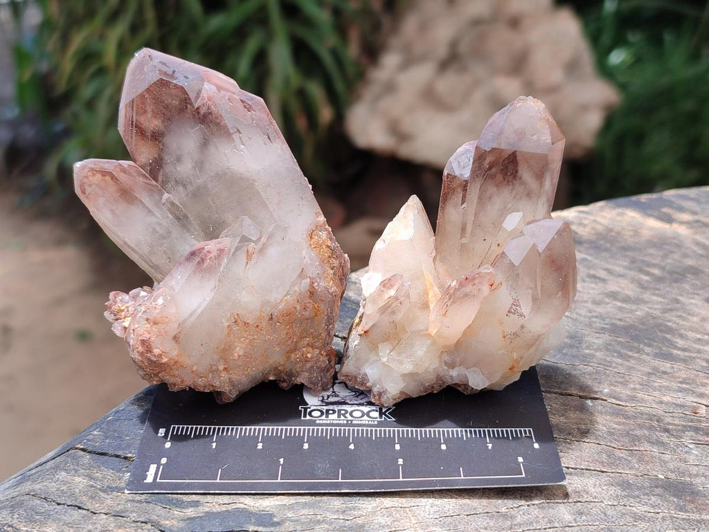 Natural Red Hematoid Quartz Crystals and Clusters x 12 From Karoi, Zimbabwe
