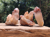 Natural Red Hematoid Quartz Crystals and Clusters x 12 From Karoi, Zimbabwe