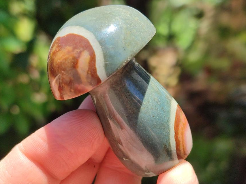 Polished Polychrome Jasper Mushrooms x 5 From NW Coast, Madagascar - Toprock Gemstones and Minerals 