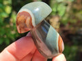 Polished Polychrome Jasper Mushrooms x 5 From NW Coast, Madagascar - Toprock Gemstones and Minerals 