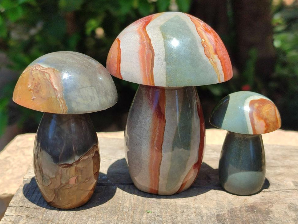 Polished Polychrome Jasper Mushrooms x 5 From NW Coast, Madagascar - Toprock Gemstones and Minerals 