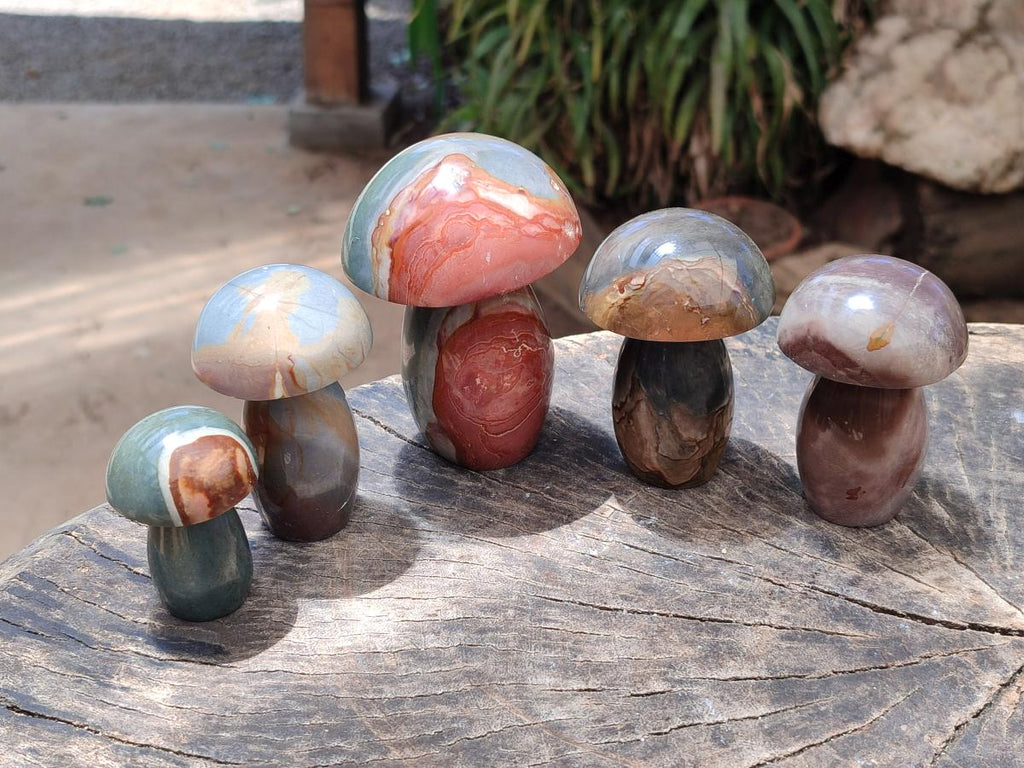 Polished Polychrome Jasper Mushrooms x 5 From NW Coast, Madagascar - Toprock Gemstones and Minerals 