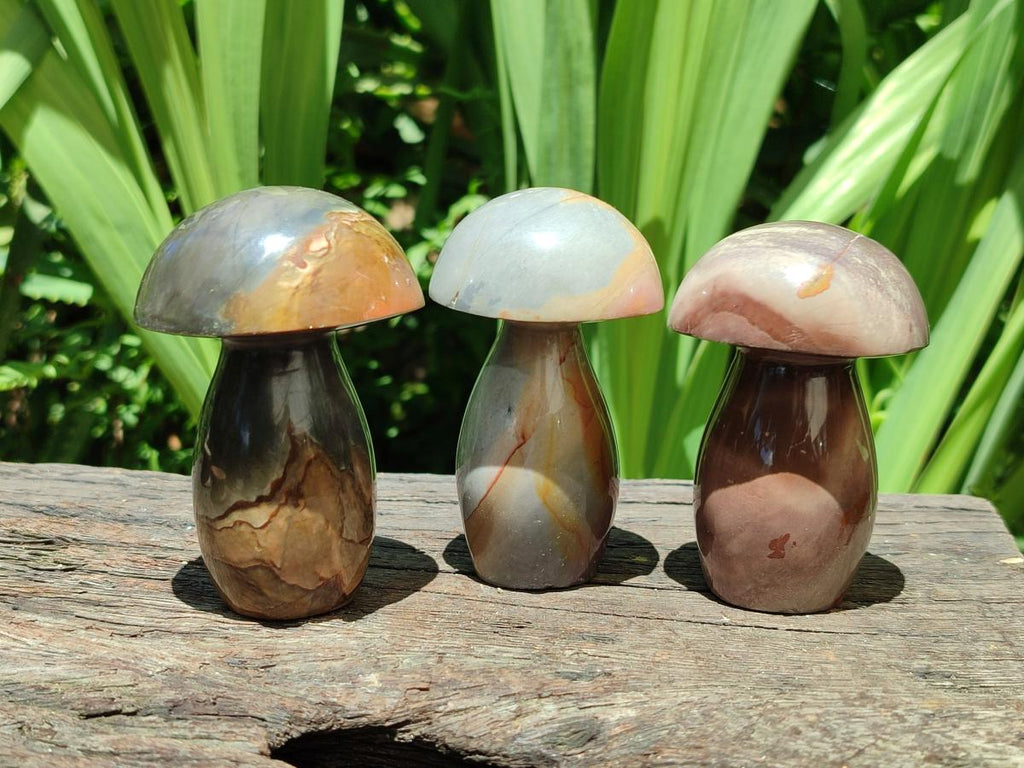 Polished Polychrome Jasper Mushrooms x 5 From NW Coast, Madagascar - Toprock Gemstones and Minerals 