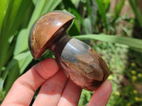 Polished Polychrome Jasper Mushrooms x 5 From NW Coast, Madagascar