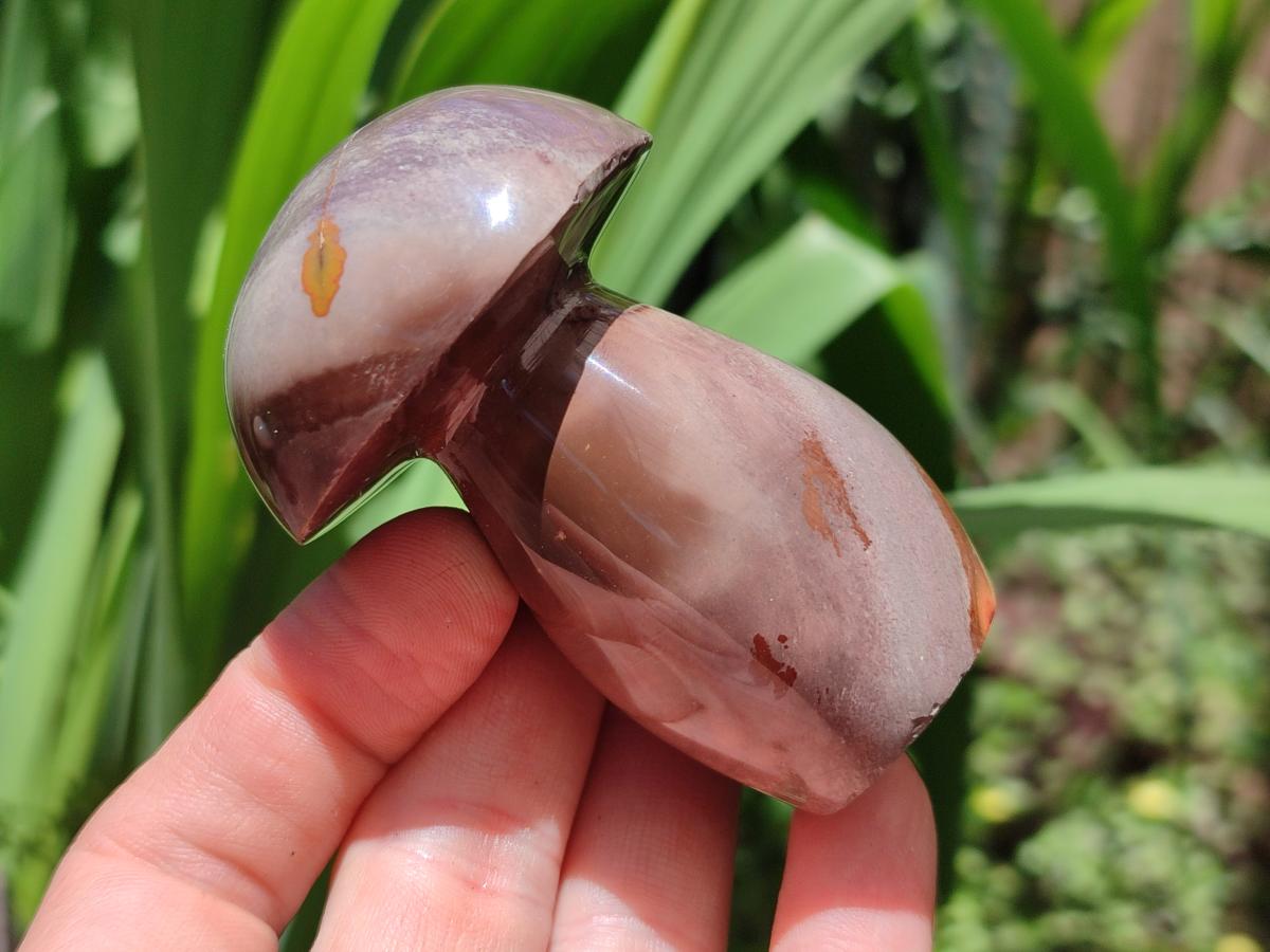 Polished Polychrome Jasper Mushrooms x 5 From NW Coast, Madagascar - Toprock Gemstones and Minerals 