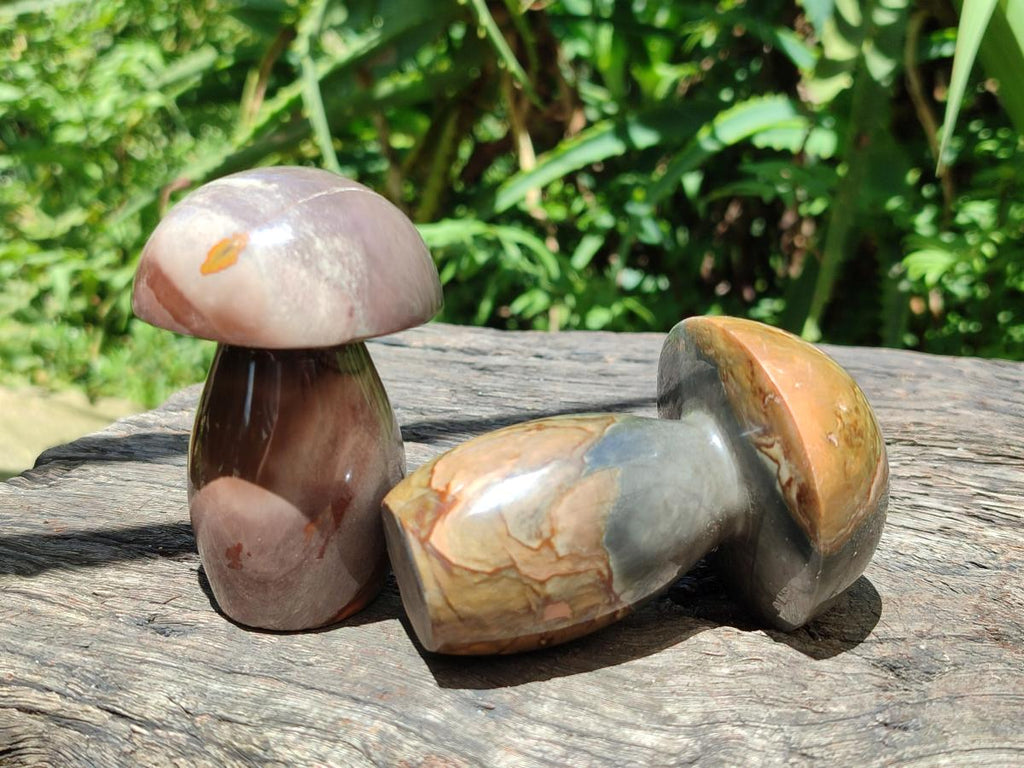 Polished Polychrome Jasper Mushrooms x 5 From NW Coast, Madagascar - Toprock Gemstones and Minerals 
