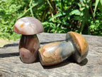 Polished Polychrome Jasper Mushrooms x 5 From NW Coast, Madagascar - Toprock Gemstones and Minerals 
